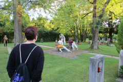 Brunnen