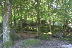 Steine_01